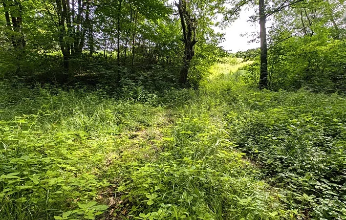 Prodej pozemku, Vizovice, 32591 m2