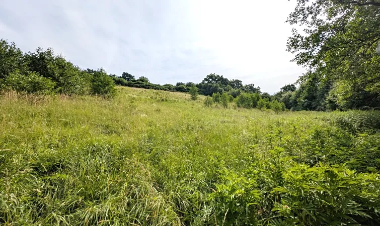 Prodej pozemku, Vizovice, 32591 m2