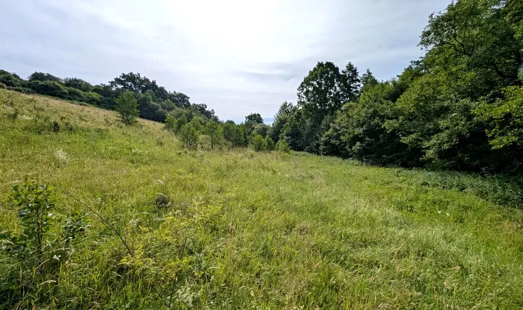 Prodej pozemku, Vizovice, 32591 m2