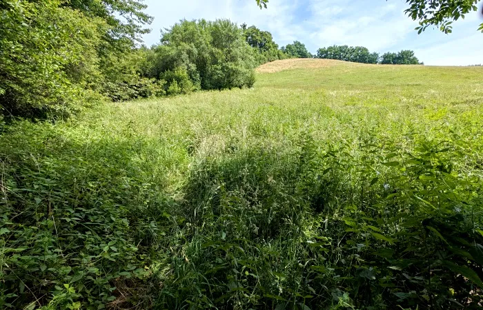 Prodej pozemku, Vizovice, 32591 m2