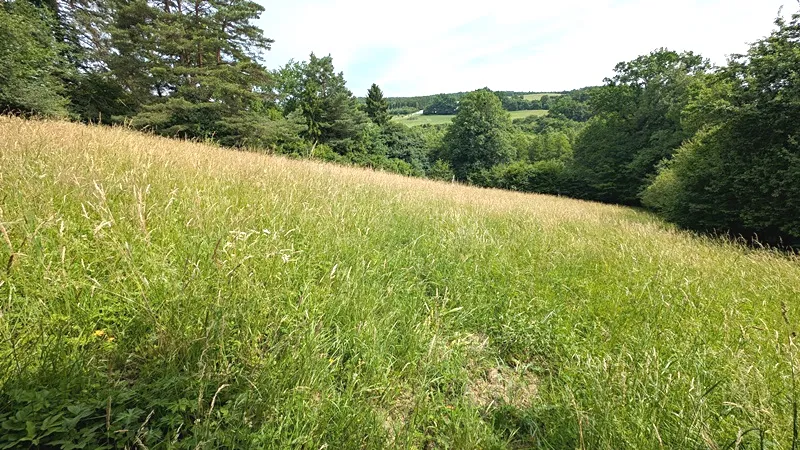 Prodej pozemku, Vizovice, 32591 m2