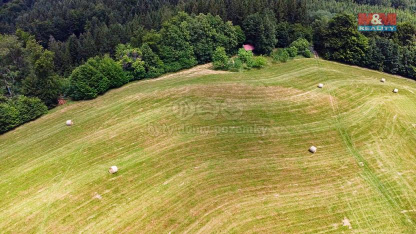 Prodej louky, Prlov, 14409 m2