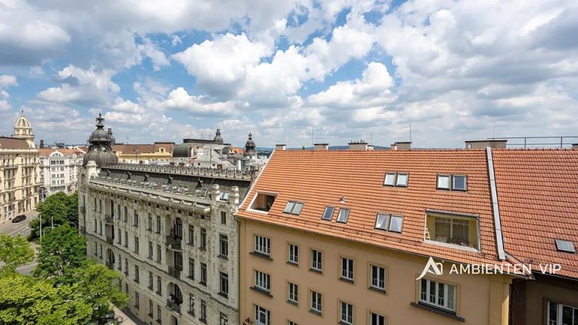 Prodej bytu 6+kk a větší, Brno, Čápkova, 195 m2