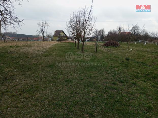 Prodej vinného sklepa, Vacenovice, 145 m2