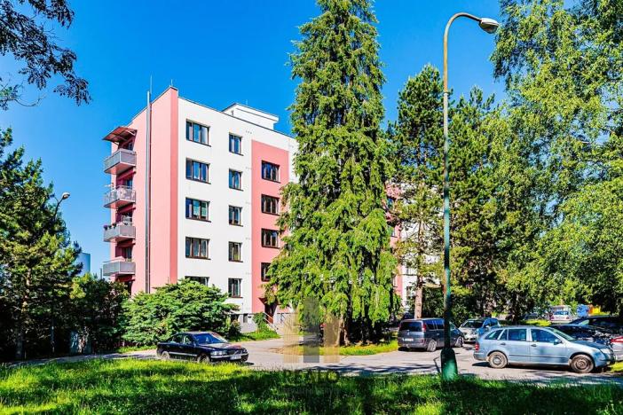 Prodej bytu 2+1, Jihlava, Riegrova, 56 m2