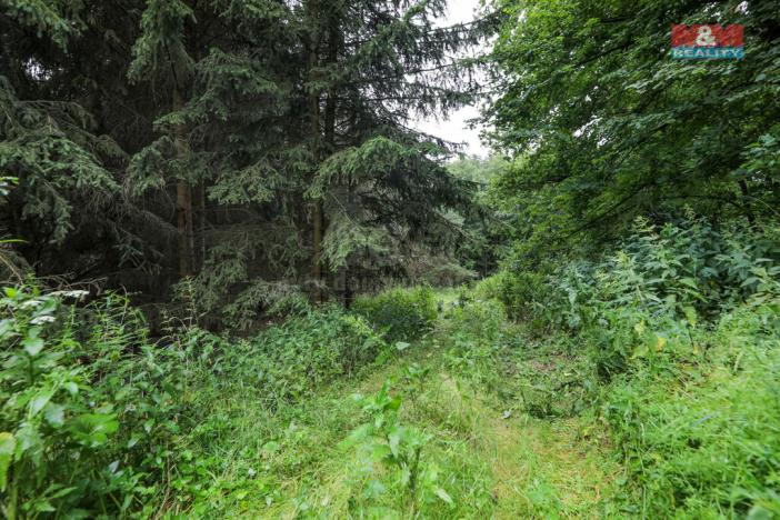 Prodej pole, Svárov, 11043 m2