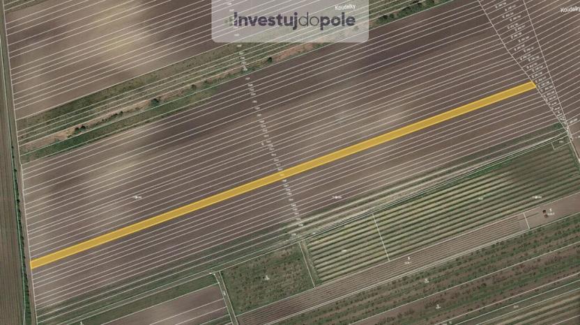 Prodej pole, Velké Pavlovice, 3452 m2