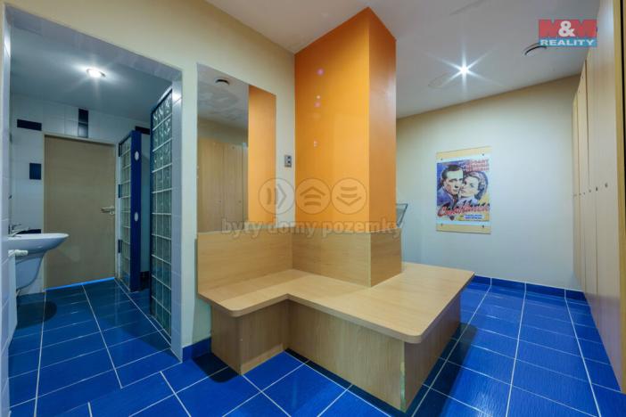 Prodej komerční nemovitosti, Karlovy Vary - Stará Role, Truhlářská, 464 m2