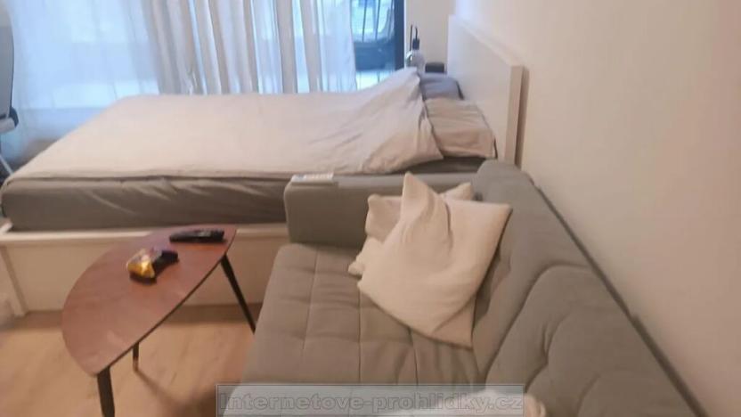 Pronájem bytu 1+kk, Praha - Žižkov, Tetauerova, 32 m2
