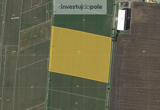 Prodej pole, Dobrovice - Sýčina, 4058 m2