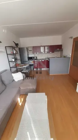 Prodej bytu 2+kk, České Budějovice, J. Bendy, 40 m2