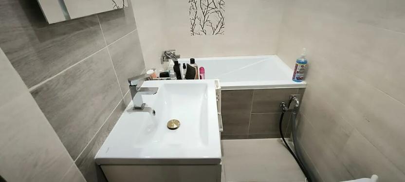 Pronájem bytu 1+kk, Ostrava, Lumírova, 30 m2