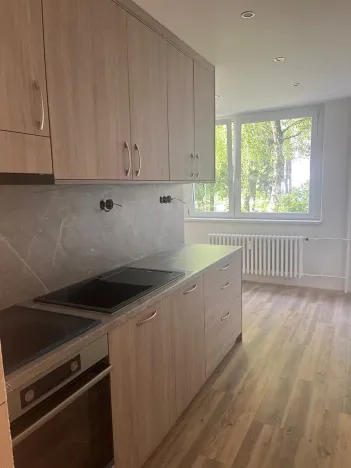 Pronájem bytu 1+1, Uherské Hradiště, Na Rybníku, 37 m2