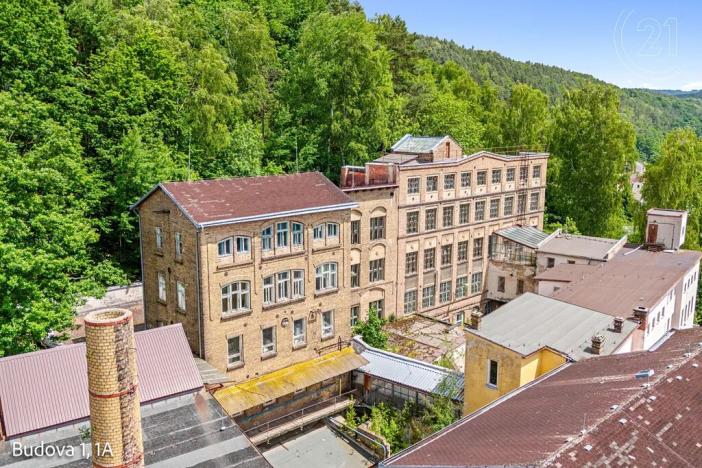 Pronájem komerční nemovitosti, Děčín, Rudolfova, 5199 m2