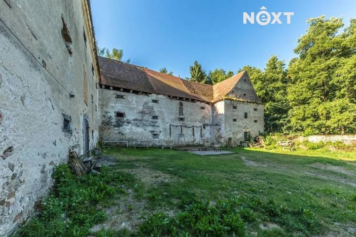 Prodej - jiné, Buzice, 1800 m2