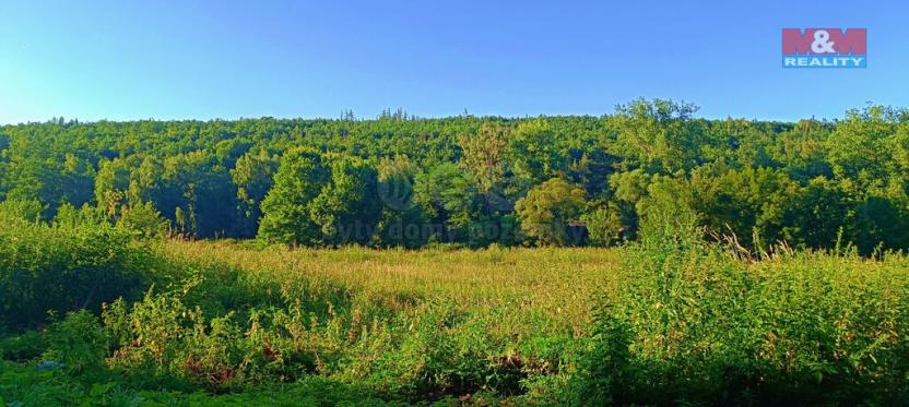 Prodej louky, Nižbor - Žloukovice, 1665 m2