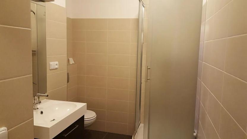 Pronájem bytu 1+kk, Praha - Holešovice, V háji, 31 m2