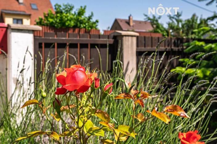 Prodej rodinného domu, Líbeznice, Severní, 315 m2