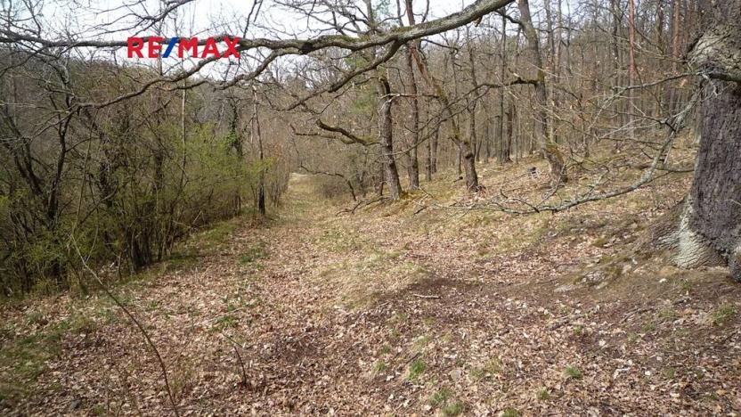 Prodej chaty, Plasy, 50 m2