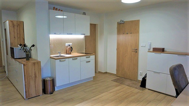 Pronájem bytu 2+kk, Brno - Husovice, náměstí Republiky, 48 m2