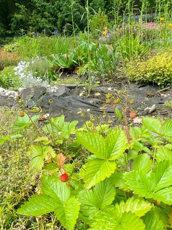 Prodej rodinného domu, Česká Metuje, 221 m2