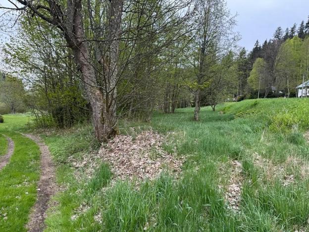 Prodej komerčního pozemku, Horní Vltavice, 14058 m2