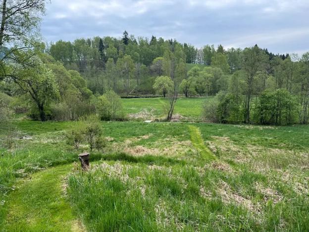 Prodej pozemku pro bydlení, Horní Vltavice, 7500 m2