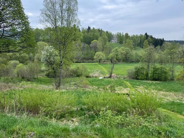 Prodej pozemku pro bydlení, Horní Vltavice, 7500 m2