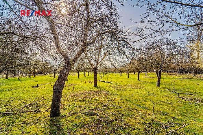 Prodej komerčního pozemku, Roblín, 13615 m2