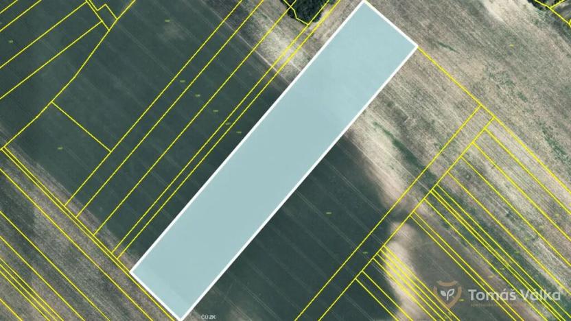 Prodej pole, Čejkovice, 77592 m2