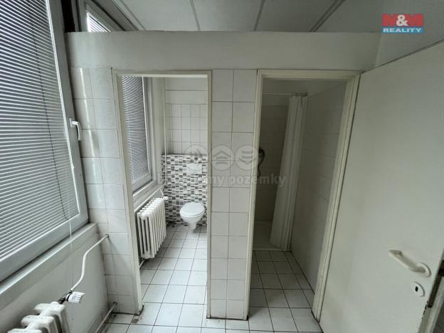 Pronájem skladu, Ostrava - Slezská Ostrava, Uhlířská, 130 m2