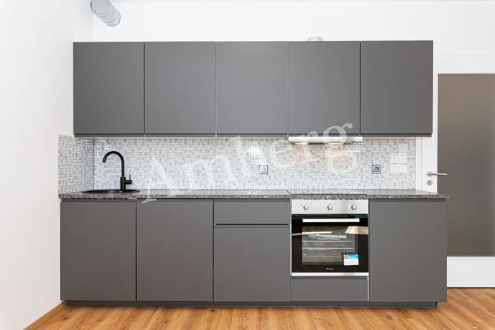 Pronájem bytu 1+kk, Praha - Žižkov, Olgy Havlové, 35 m2