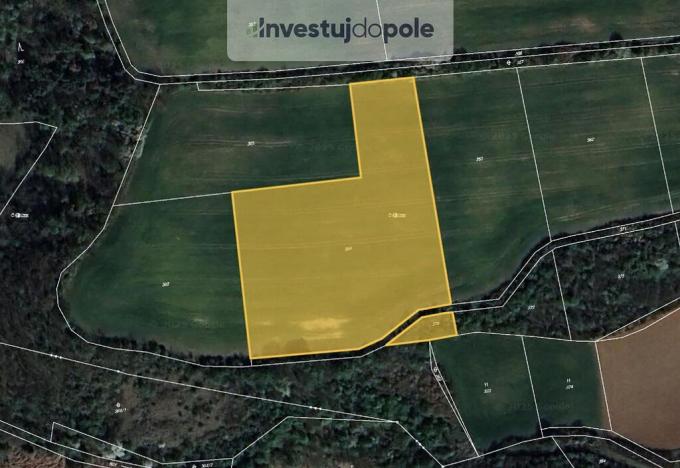 Prodej pole, Dobříč, 2430 m2