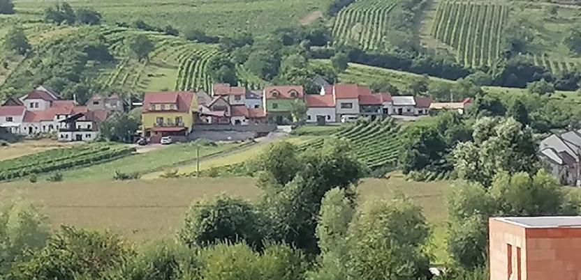 Prodej pozemku pro bydlení, Bořetice, 1163 m2
