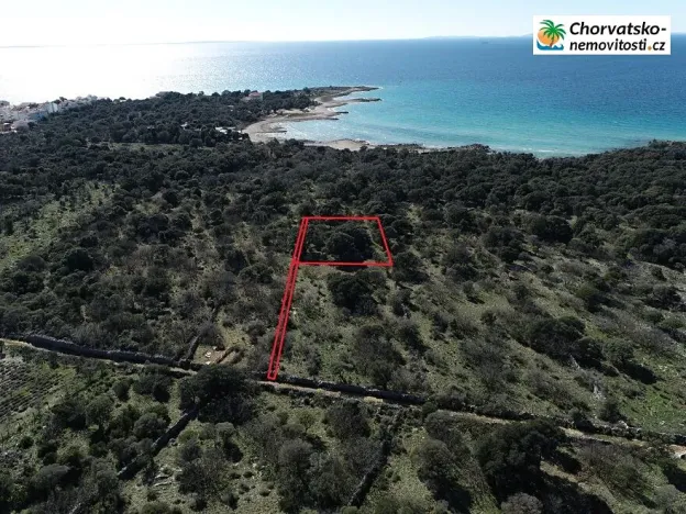 Prodej lesa, Novalja, Chorvatsko, 1080 m2