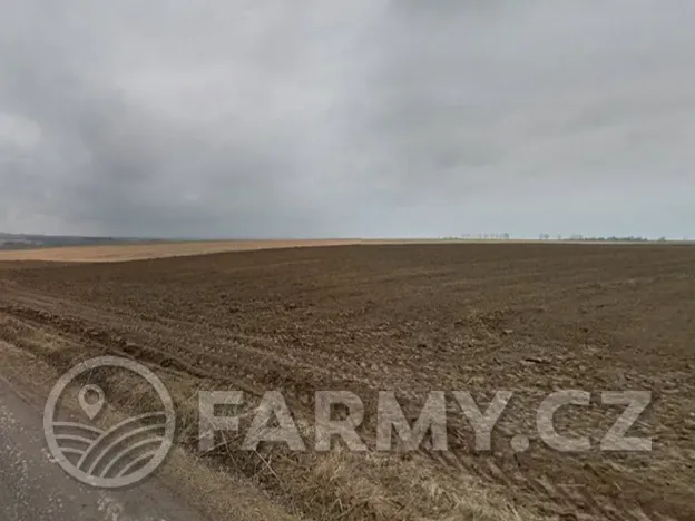 Prodej pole, Bohušov, 233997 m2