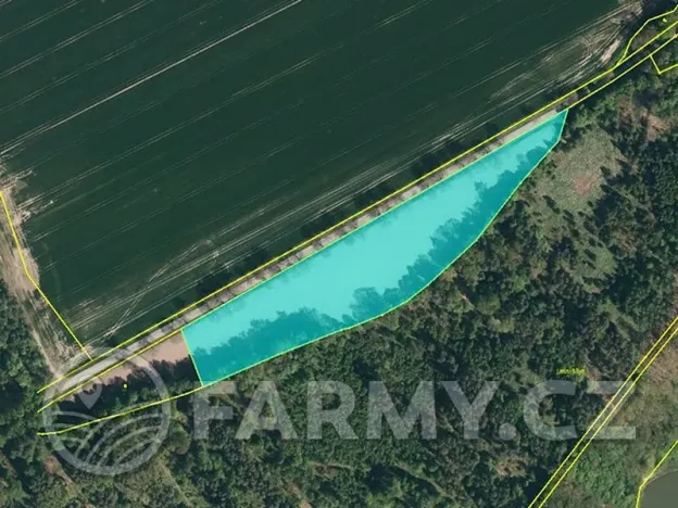 Prodej pole, Bohušov, 233997 m2