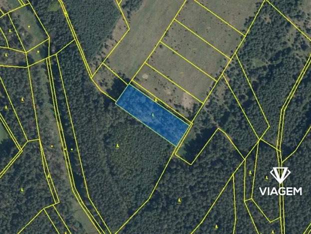 Prodej podílu lesa, Bělá pod Bezdězem, 824 m2