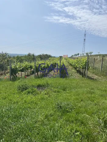 Prodej zahrady, Svatobořice-Mistřín, 2383 m2