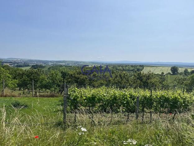 Prodej zahrady, Svatobořice-Mistřín, 2383 m2