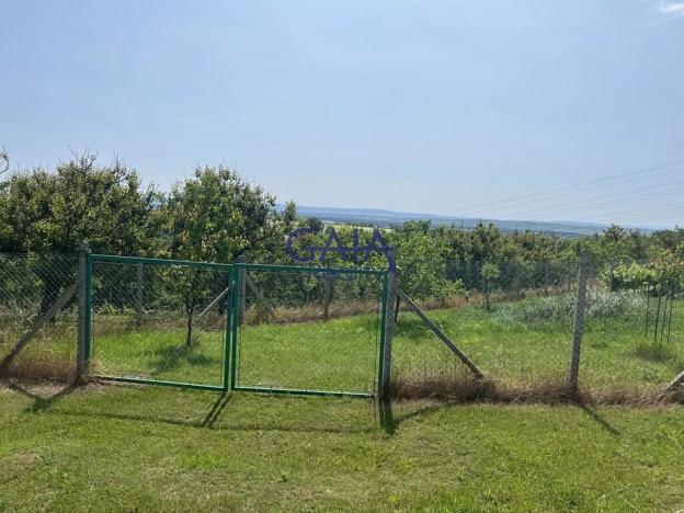 Prodej zahrady, Svatobořice-Mistřín, 2383 m2