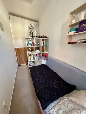 Prodej bytu 3+1, Tábor, Špitálská, 104 m2