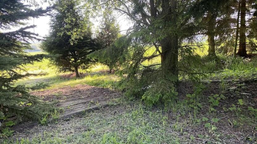 Prodej pozemku pro bydlení, Plzeň, 1929 m2