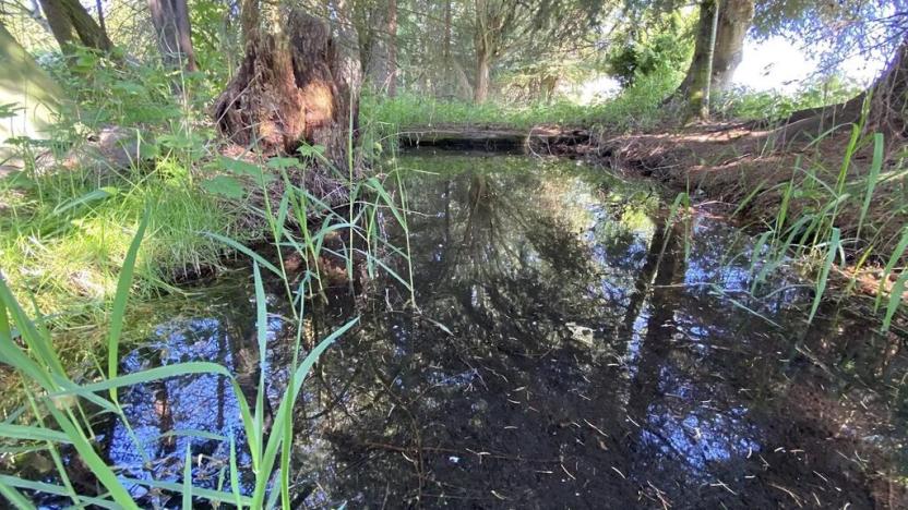 Prodej pozemku pro bydlení, Plzeň, 1929 m2