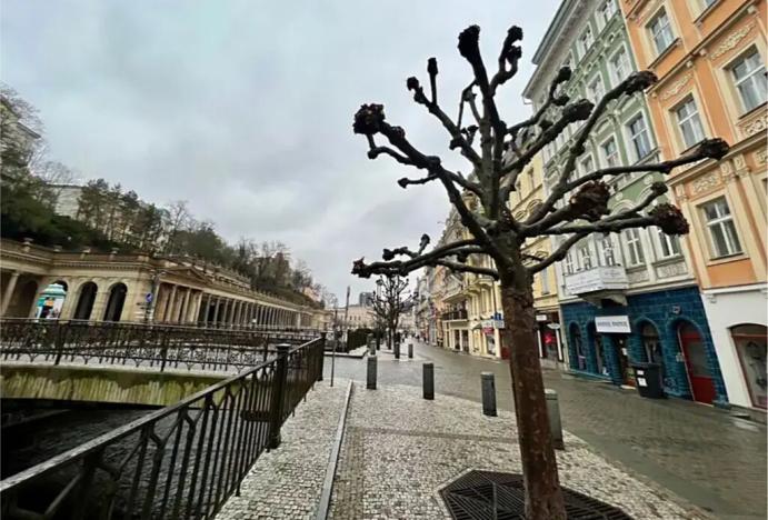 Prodej bytu 2+kk, Karlovy Vary, Vřídelní, 58 m2