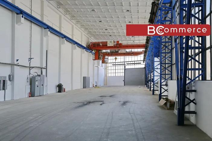Pronájem skladu, Brno, 1200 m2