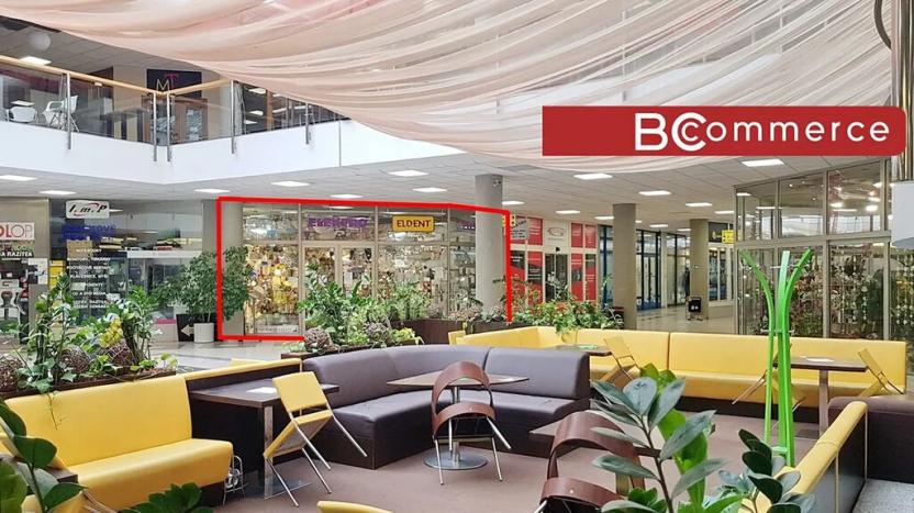 Prodej obchodního prostoru, Brno, Příkop, 172 m2