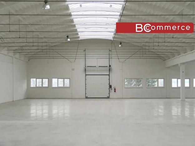 Pronájem skladu, Holubice, 1100 m2