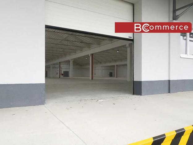Pronájem skladu, Holubice, 1100 m2