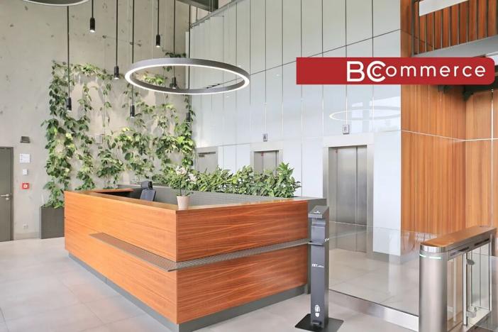 Pronájem kanceláře, Brno, Lazaretní, 900 m2